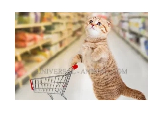 Cat and Dog store UAE در تهران Universal Animal is a specialized animal