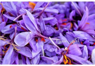 خرید و فروش انواع زعفران ایرانی خرید و فروش انواع زعفران ایرانی