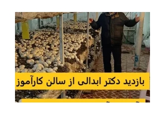 ارایه مهارت پرورش قارچ برای اخذ وام خوداشتغالی ارایه مهارت پرورش قارچ برای اخذ وام خوداشتغالی