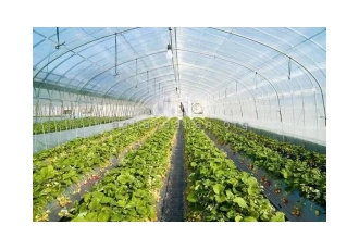 قیمت لوله گلخانه سبک قیمت لوله گلخانه سبک