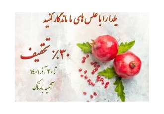 عکاسی شب یلدا با 30% تخفیف عکاسی شب یلدا با 30% تخفیف