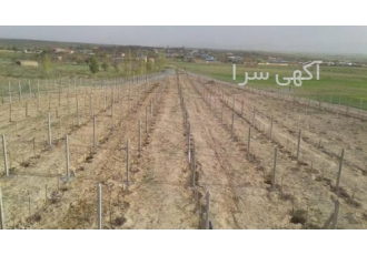 پایه بتنی پایه بتنی