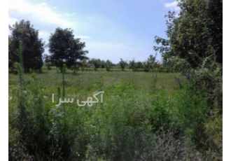 فروش زمین در اسالم گیلان فروش زمین در اسالم گیلان