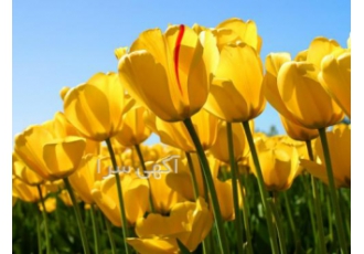 سرمایه گذاری در تولید بازاردار - اعطای وام سرمایه گذاری در تولید بازاردار - اعطای وام