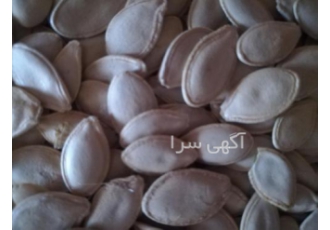 پخش انواع تخمه کدوگوشتی خام،بوداده پخش انواع تخمه کدوگوشتی خام،بوداده