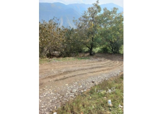 فروش زمین باغ فندق در دوهزار تنکابن فروش زمین باغ فندق در دوهزار تنکابن