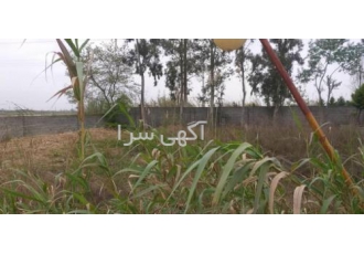 زمین هکتاری پلاک اول دریا مناسب شهرک سازی زمین هکتاری پلاک اول دریا مناسب شهرک سازی