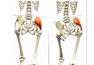 کلینیک توانبخشی ورزشی نور امید کلینیک توانبخشی ورزشی نور امید