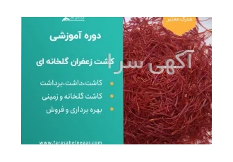 دوره آموزشی کاشت زعفران گلخانه هیدروپونیک و خاکی