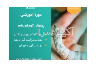 دوره آموزشی پرورش کرم ابریشم فروش کرم و تخم کرم ابریشم دوره آموزشی پرورش کرم ابریشم فروش کرم و تخم کرم ابریشم