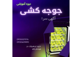 دوره آموزشی جوجه کشی دوره آموزشی جوجه کشی