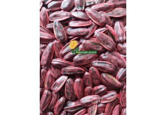 بذرمادرتخمه بذرمادرتخمه