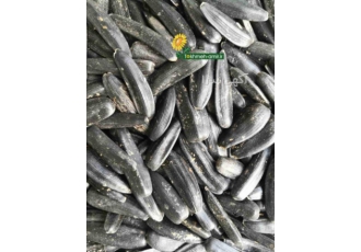 پخش عمده انواع تخمه آفتابگردان و کدو،تخمه امیر پخش عمده انواع تخمه آفتابگردان و کدو،تخمه امیر