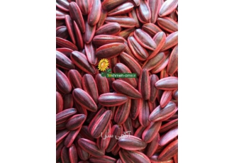 فروش بذر مادر تخمه آفتابگردان فروش بذر مادر تخمه آفتابگردان