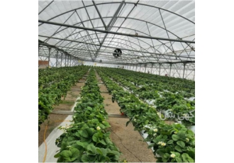 دوره آموزشی کشت گلخانه دوره آموزشی کشت گلخانه