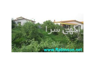 فروش زمین در چمستان نور -فرصتی استثنائی فروش زمین در چمستان نور -فرصتی استثنائی