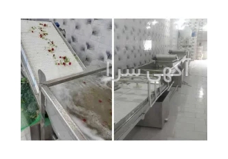 دستگاه شستشوی خرما و خشکبار – نویان صنعت ایرانیان