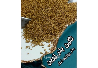 فروش بذر یونجه ، بذر علوفه فروش بذر یونجه ، بذر علوفه