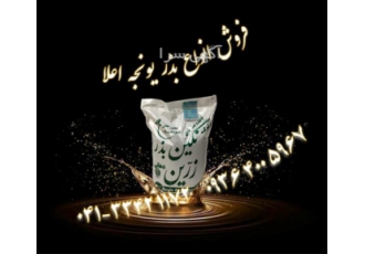 خرید بذر یونجه دیمی ، بمی فروش بذر یونجه پایه بلند خرید بذر یونجه دیمی ، بمی فروش بذر یونجه پایه بلند