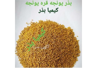 فروش بذر یونجه فروش بذر یونجه