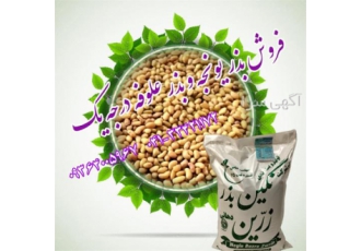 فروش تضمینی بذر یونجه پایه بلند فروش تضمینی بذر یونجه پایه بلند