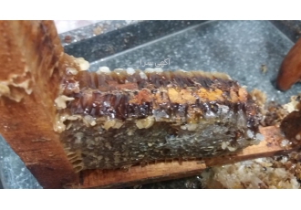 عسل کوثر سبلان مشکین شهر عسل کوثر سبلان مشکین شهر