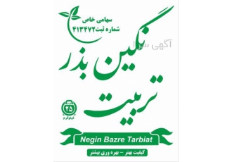 قیمت بذر یونجه ، فروش بذر یونجه درجه یک قیمت بذر یونجه ، فروش بذر یونجه درجه یک