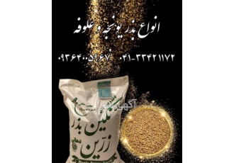 بذر یونجه پایه بلند - قیمت بذر یونجه همدانی بذر یونجه پایه بلند - قیمت بذر یونجه همدانی