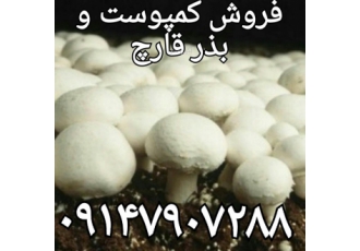 فروش کمپوست قارچ خاک پوششی وبذر قارچ فروش کمپوست قارچ خاک پوششی وبذر قارچ