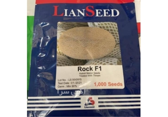 بذر گوجه ، بذر راک ، باردهی بالا بذر گوجه ، بذر راک ، باردهی بالا