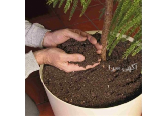 فروش خاک بسته بندی گیاهان آپارتمانی فروش خاک بسته بندی گیاهان آپارتمانی