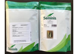 بذر کدو کلاریتا - فروش بذر کدو بذر کدو کلاریتا - فروش بذر کدو