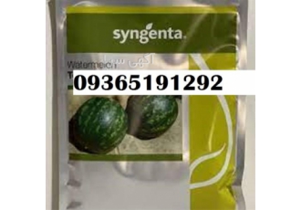 بذر هندوانه گالاتا بذر پر فروش بذر هندوانه گالاتا بذر پر فروش