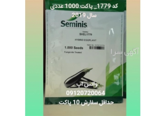 قیمت بذر بادمجان کد 1779 قیمت بذر بادمجان کد 1779
