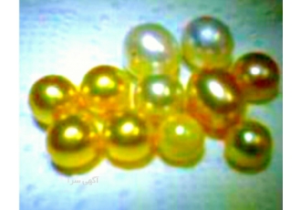 مروارید طلائی ( Natural Golden Pearl تعداد 4 عدد مروارید طلائی طبیی