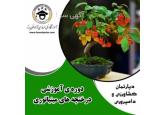 درخت های مینیاتوری درخت های مینیاتوری