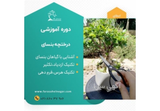 دوره آموزشی تکنیک برای تبدیل درختچه مینیاتوری دوره آموزشی تکنیک برای تبدیل درختچه مینیاتوری