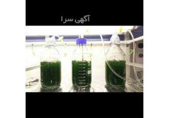 پرورش و تکثیر اسپیرولینا و کلرولا پرورش و تکثیر اسپیرولینا و کلرولا