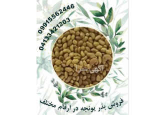 خرید و فروش بذر یونجه با نازلترین قیمت خرید و فروش بذر یونجه با نازلترین قیمت