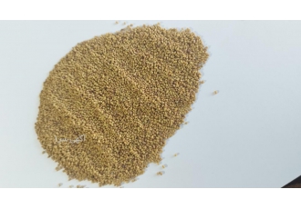 فروش انواع بذر یونجه و بذر علوفه فروش انواع بذر یونجه و بذر علوفه