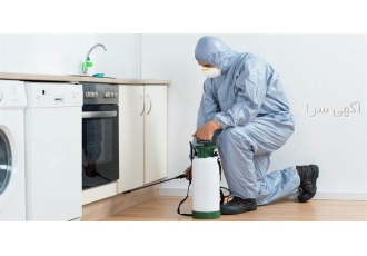 سمپاشی سوسک آمریکایی ( AMERICAN BLATELLA) سمپاشی سوسک آمریکایی ( AMERICAN BLATELLA)