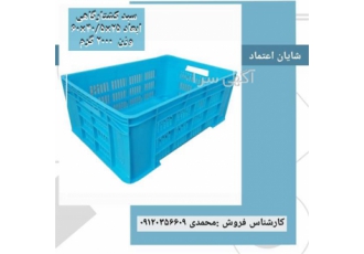 سبد ۲ کیلویی مرغ سبد مرغ یک ردیف ایستاده در بابل شرکت شایان اعتماد