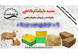 سبد کشتار گاهی سبد مرغی سبد ۱۷۰۰ گرمی در گرگان سبد کشتارگاهی سبد مرغی