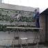 اجرای دیوار سبز فلاور باکس green wall در آستانه اشرفیه اجرای دیوار