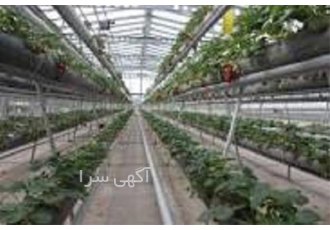 آموزش احداث گلخانه هیدروپونیک آموزش احداث گلخانه هیدروپونیک