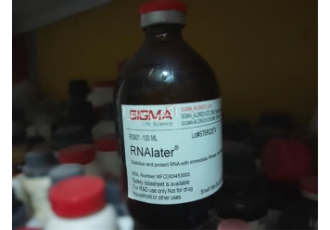 فروش محلول محافظت کننده RNA یا RNA later در مشهد محلول RNA later یا RNA