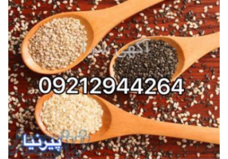 پخش کنجد هندی مخصوص روغن گیری