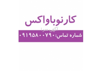 فروش واکس کارنوبا در تهران شکل ظاهری موم سفید یا زرد رنگ نقطه ذوب 82 #
