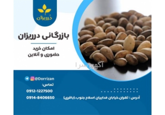 فروش دانه مورینگا