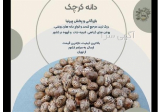 دانه کرچک به صورت عمده و جزئی دانه کرچک به صورت عمده و جزئی